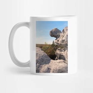 Rock Formation, Dolly Sods, West Virginia Mug